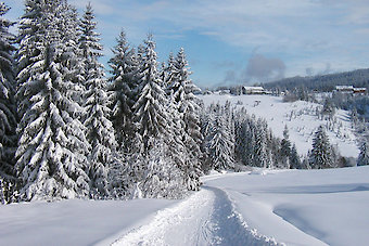 Winterurlaub in der Dreiländerregion Bayerischer Wald